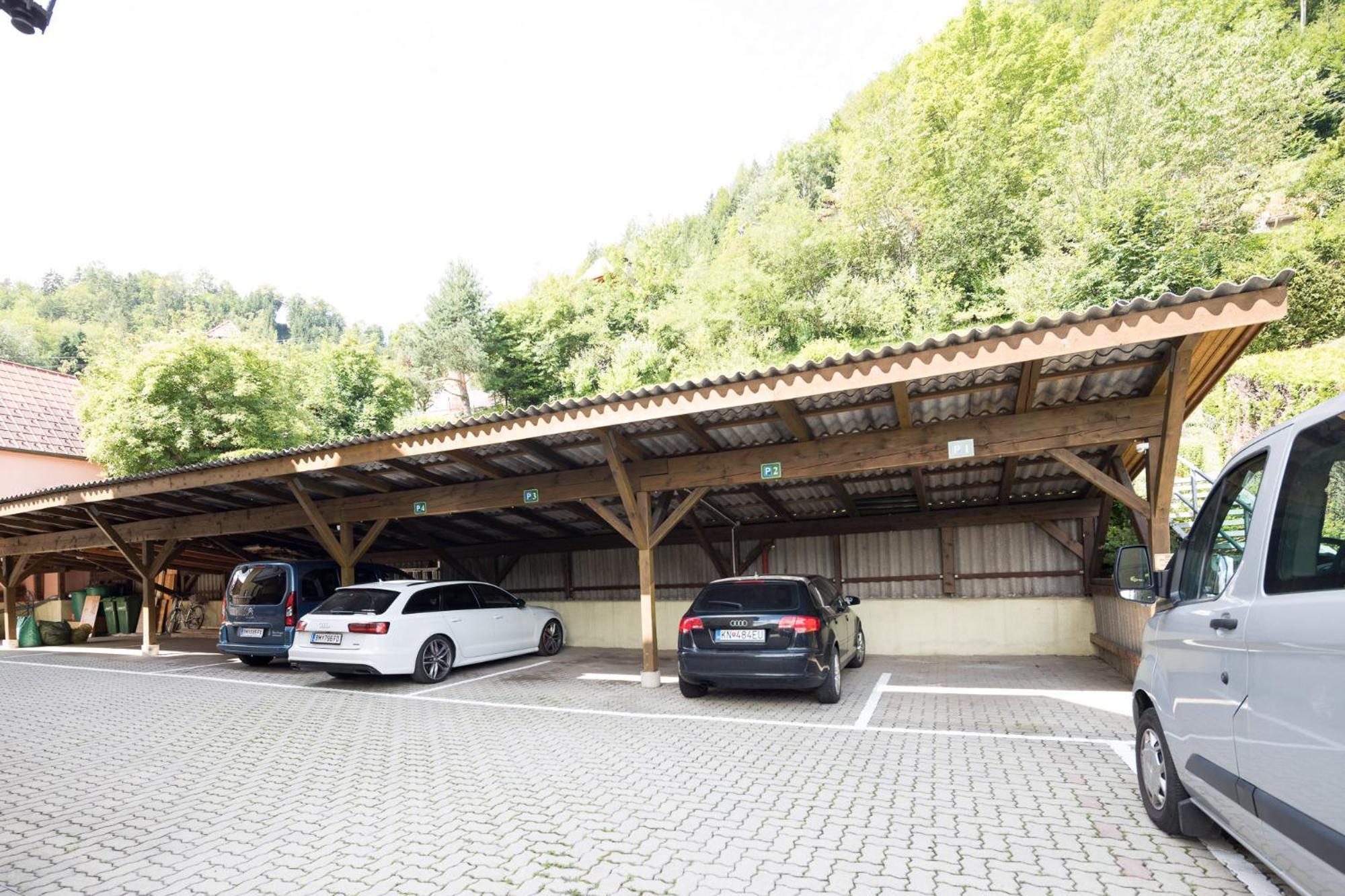 Villa Ganzstein Mürzzuschlag Εξωτερικό φωτογραφία